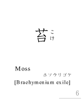 苔_moss